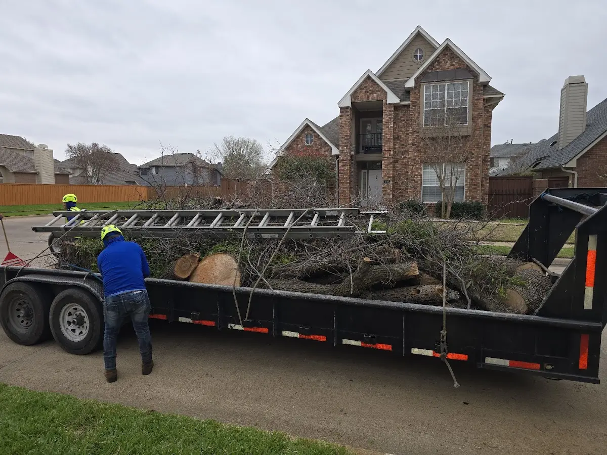 Expert Tree Pest Control with proper safety equipment in Coyle